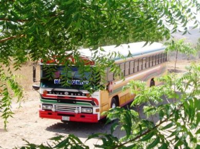 198528_568096228634_7288242_n